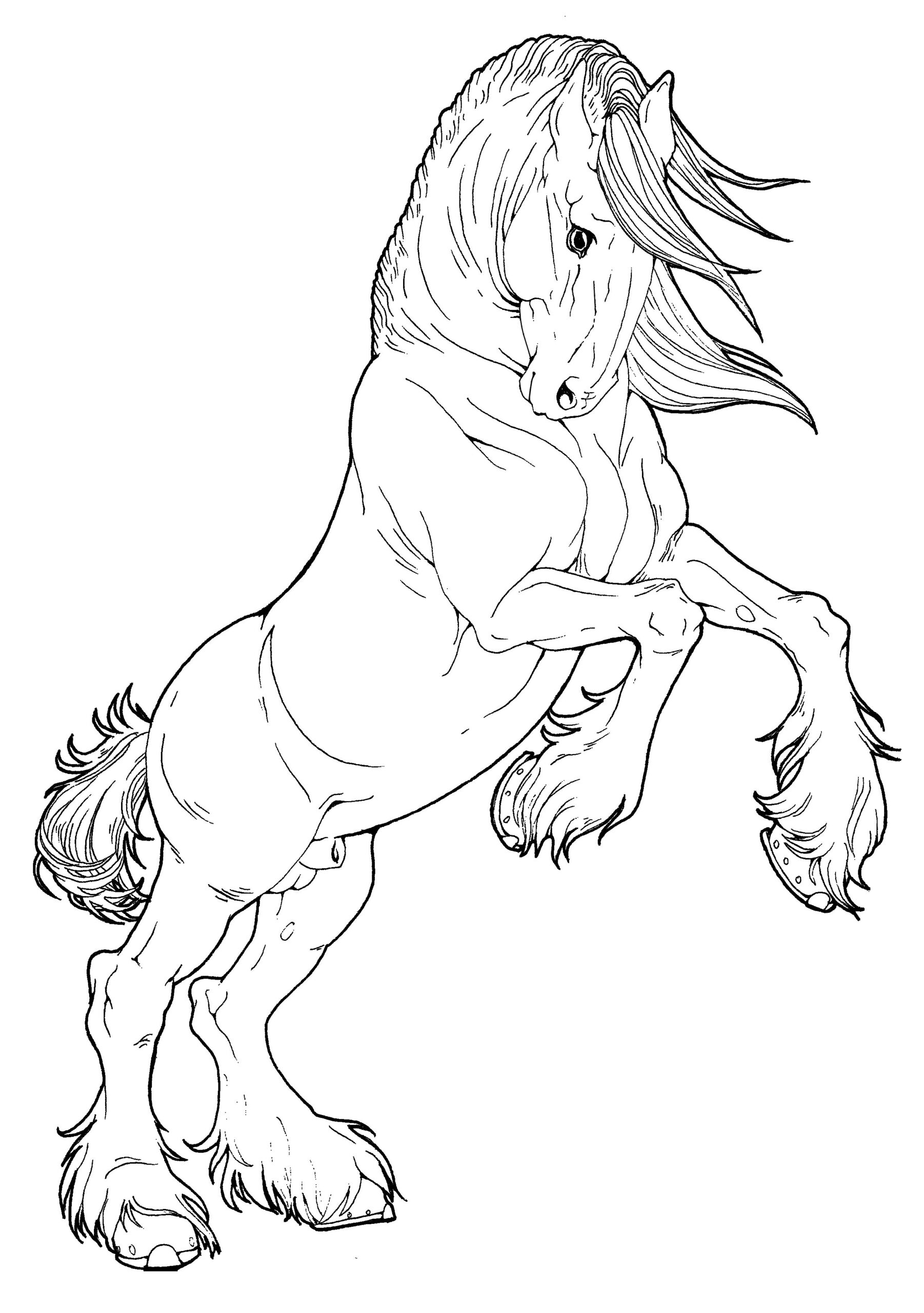 free printable coloring pages of horses