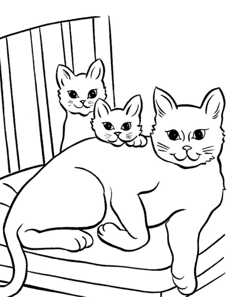printable pictures cats