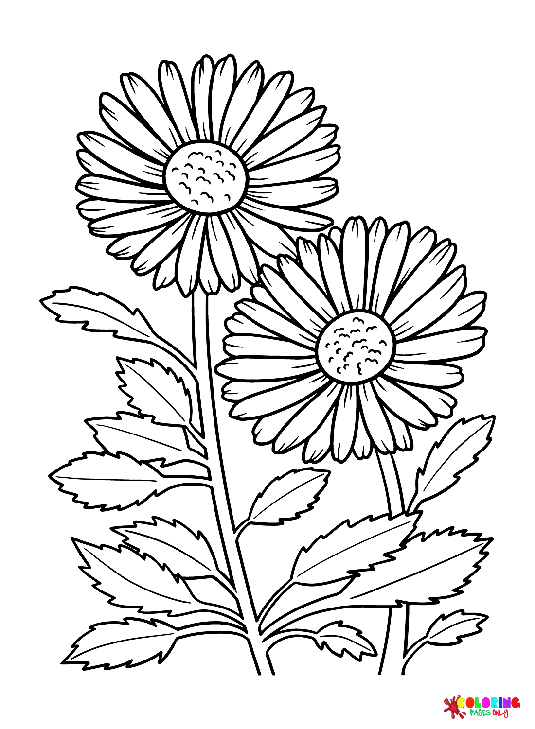 Printable Daisy Coloring Page Free Printable Coloring Pages