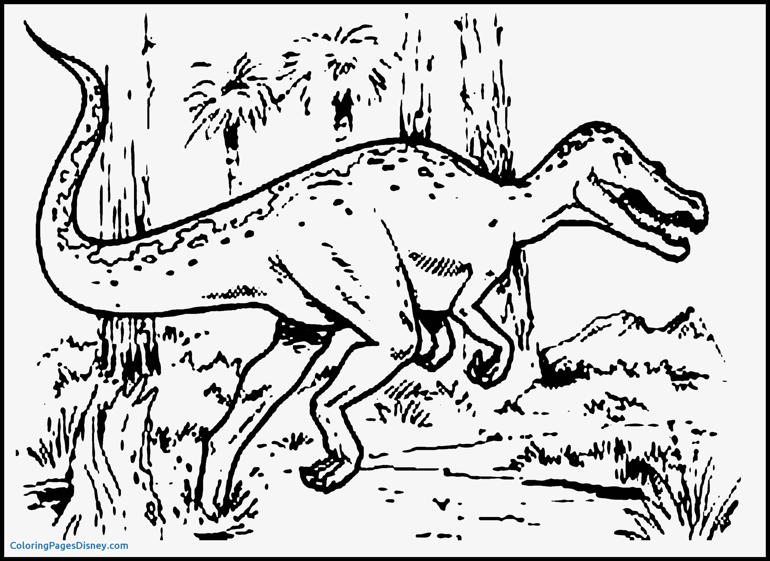 Printable Dinosaur Coloring Pages At GetDrawings Free Download