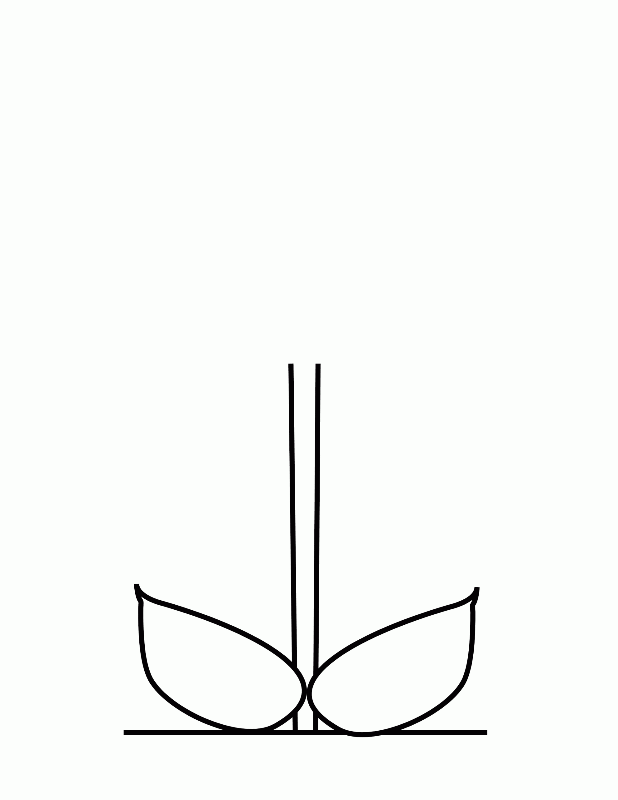 Printable Flower Stem Template Printable Templates Online By Paul 