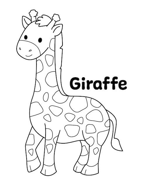printable giraffe pictures