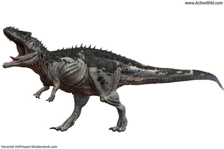 Printable List Of Dinosaur Names Infoupdate
