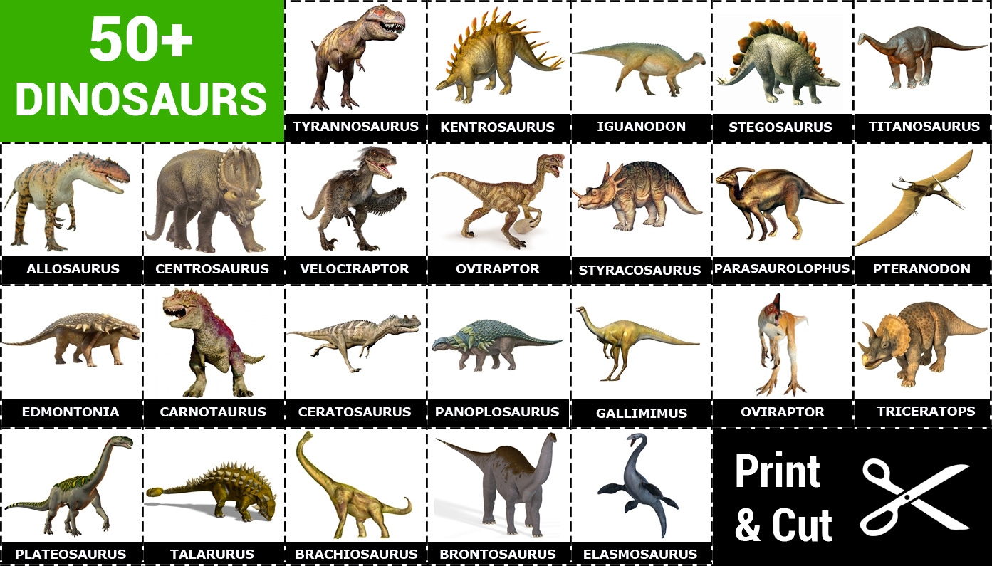 Printable Matching Game Dinosaurs 50 Cards Memozor