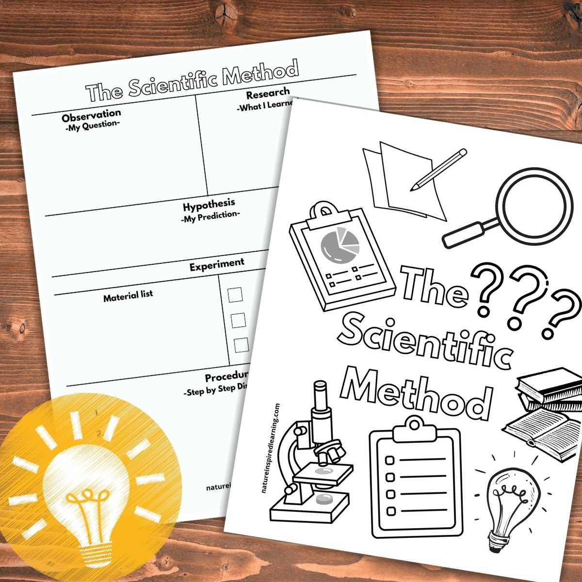 Printable Scientific Method Worksheets Nature Inspired Learning 
