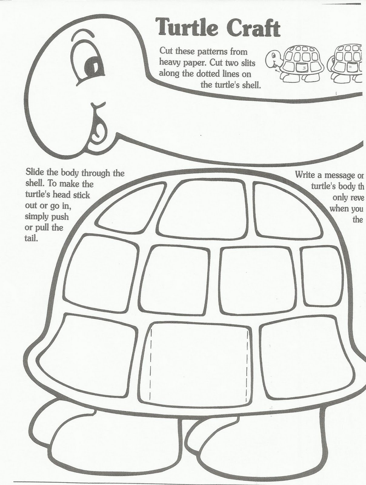 Printable Turtle Craft Template Printable Word Searches