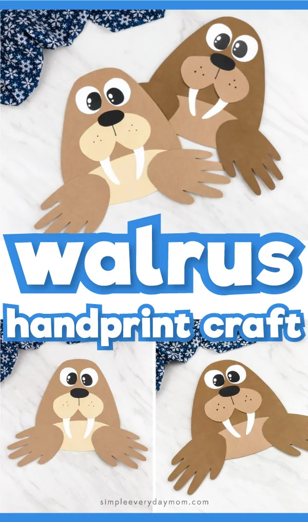 Printable Walrus Craft Template Printable Word Searches