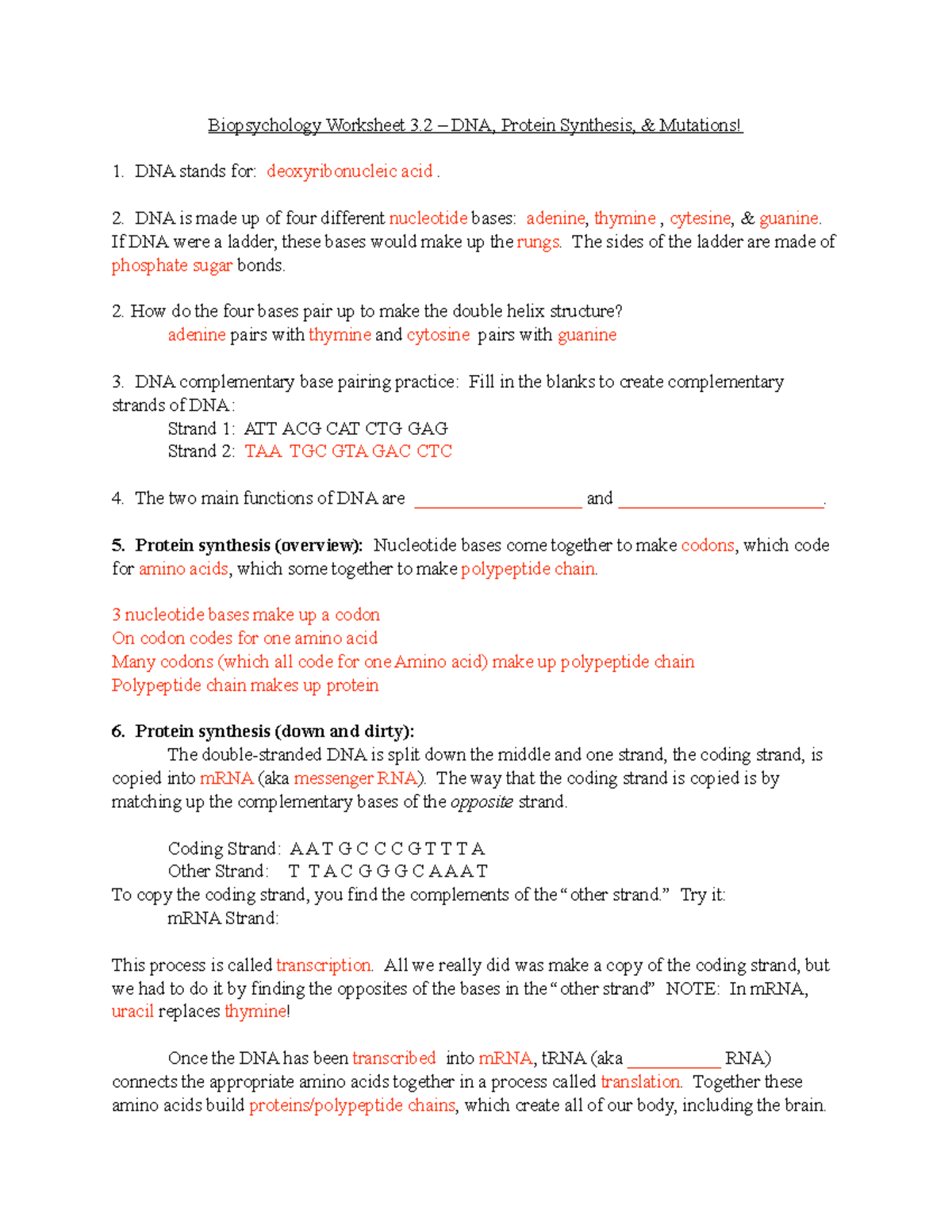 Protein Synthesis Review Worksheet Answers Imsyaf