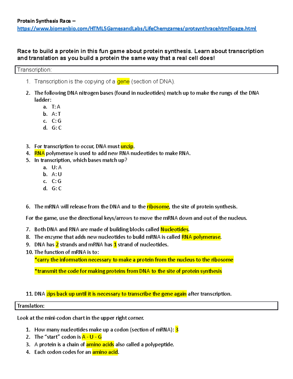 worksheet protein synthesis