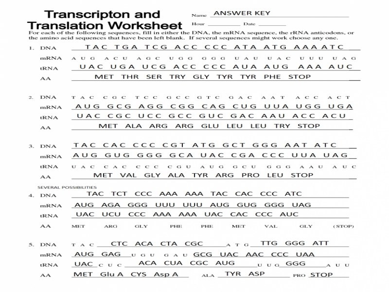Protein Synthesis Worksheet Com Answer Key Worksheets Samples