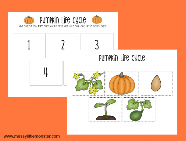 Pumpkin Life Cycle Worksheet