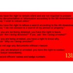 quot KNOW YOUR RIGHTS quot CARD DEATHBYSHEEP RECORDS