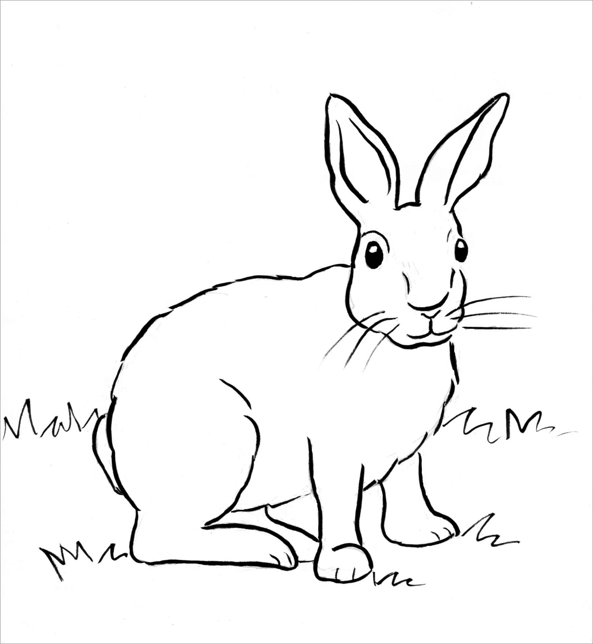 Coloring Page Rabbit