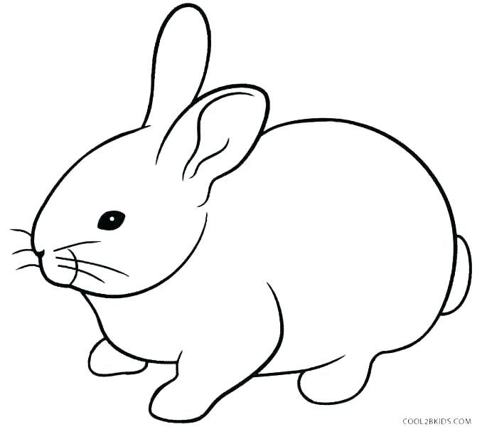 free printable coloring pages of rabbits