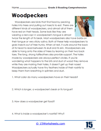 Reading Comprehension Worksheets Grade 3 Reading Comprehension 