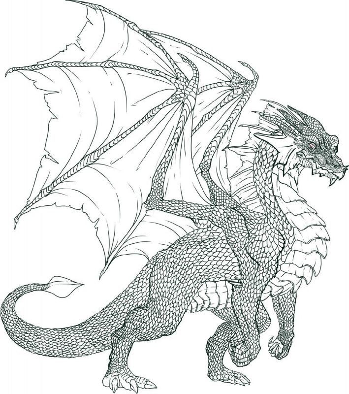 Realistic Dragon Coloring Pages Realistic Coloring Pages Of Dragons