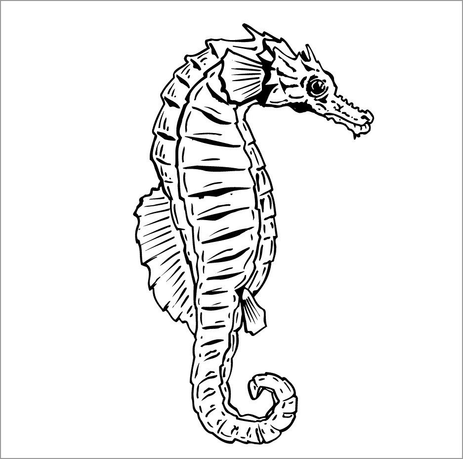 Realistic Seahorse Coloring Page ColoringBay