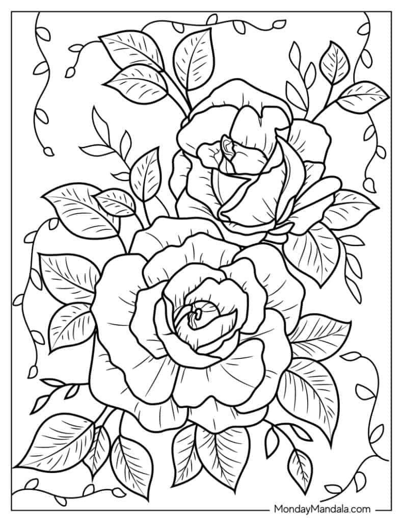 Color Pages Roses