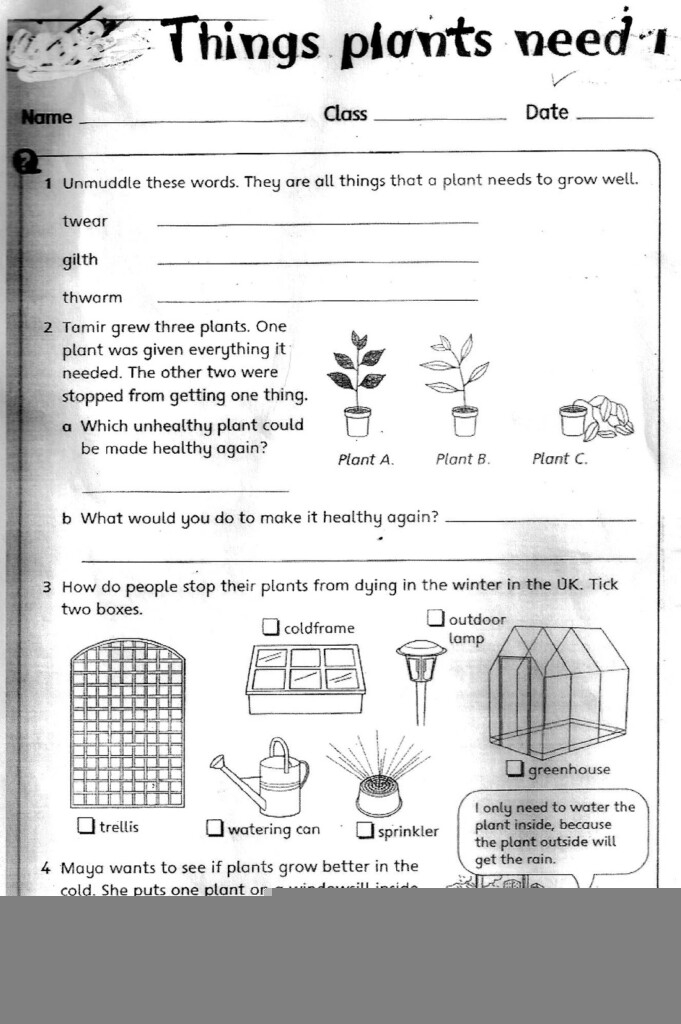 Science Worksheets For Grade 3 Printables Scienceworksheets