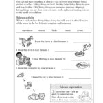 Science Worksheets Printable Printable Worksheets