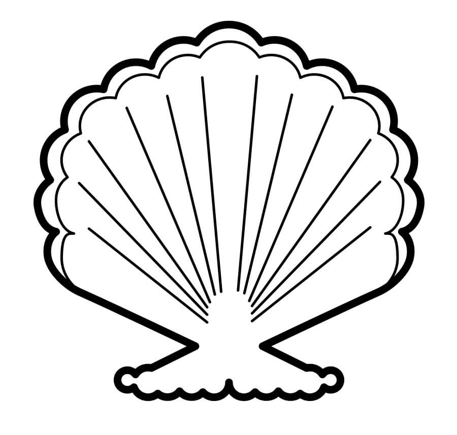 Seashell Coloring Page Free Printable Coloring Pages For Kids