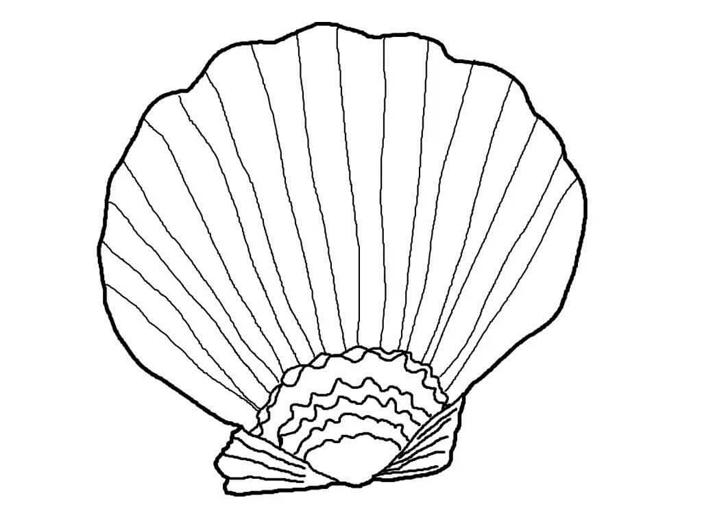 Seashell Coloring Page Free Printable Coloring Pages For Kids
