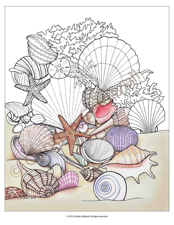 Seashell Coloring Pages