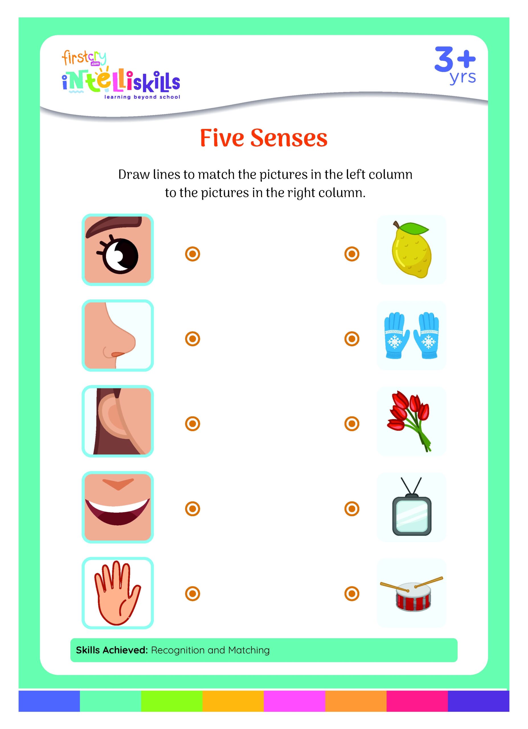 5 senses worksheets