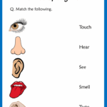 Share This On WhatsAppWe Have Prepared A List Worksheets Based On