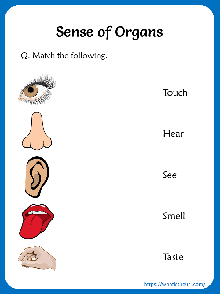 Share This On WhatsAppWe Have Prepared A List Worksheets Based On