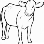Simple Cow Coloring Page ColoringBay