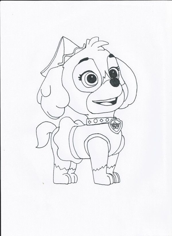 Skye Paw Patrol Coloring Page Coloring Home