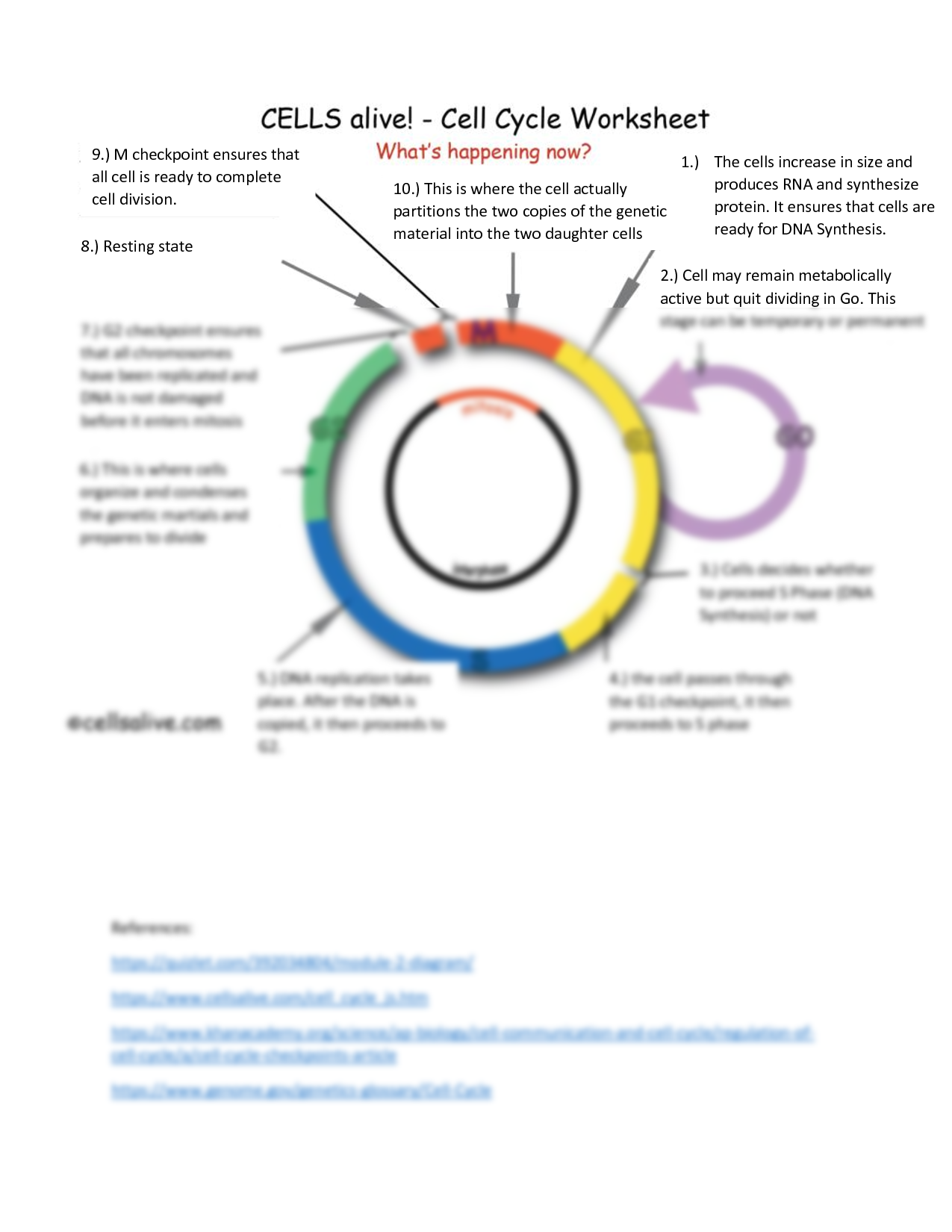 SOLUTION Cells Alive Cycleworksheet2 Studypool Worksheets Library
