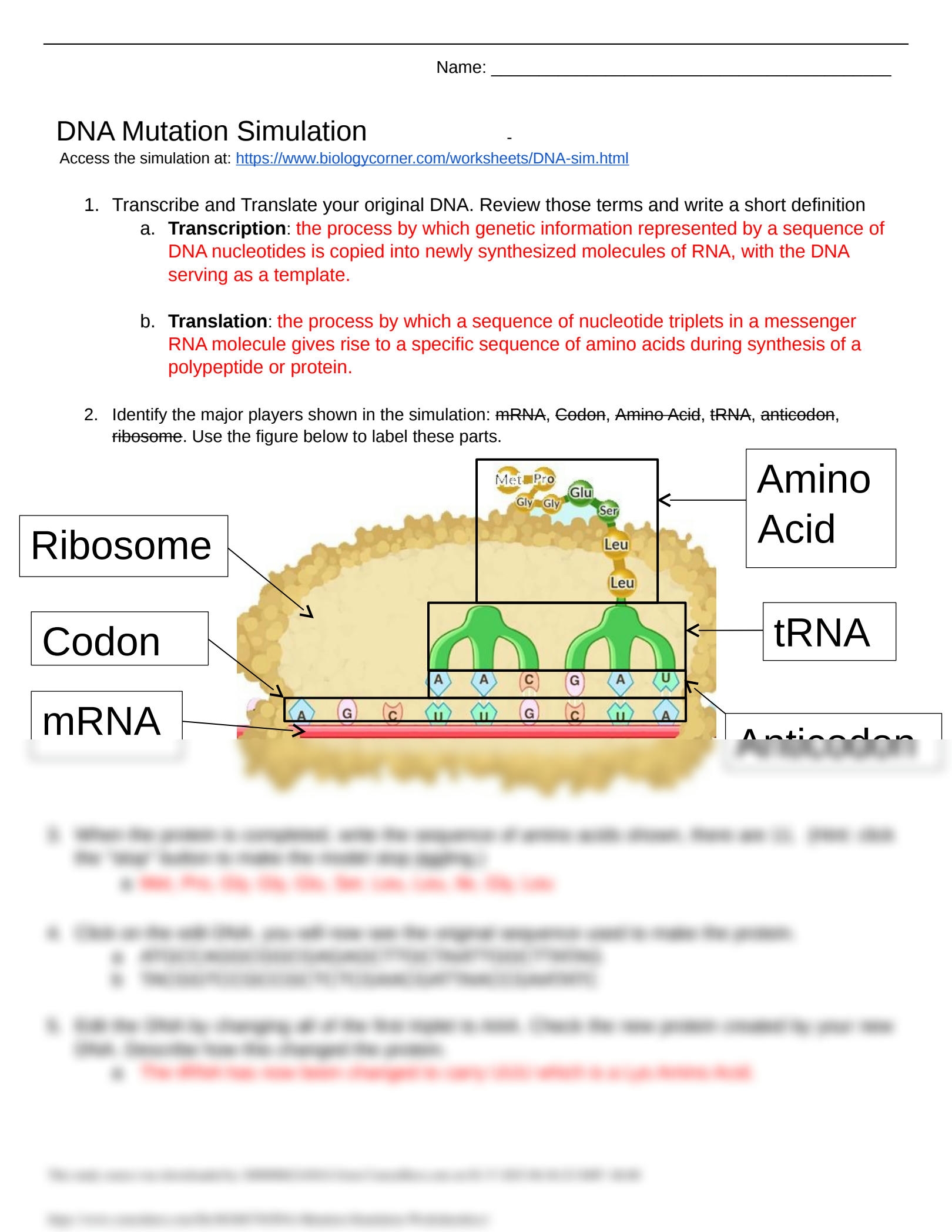 replicating dna worksheet