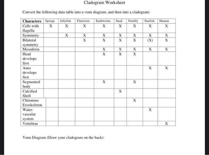 Solved Cladogram Worksheet Convert The Following Data Table 