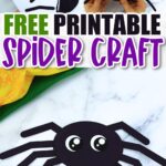Spider Craft Printable Navarro