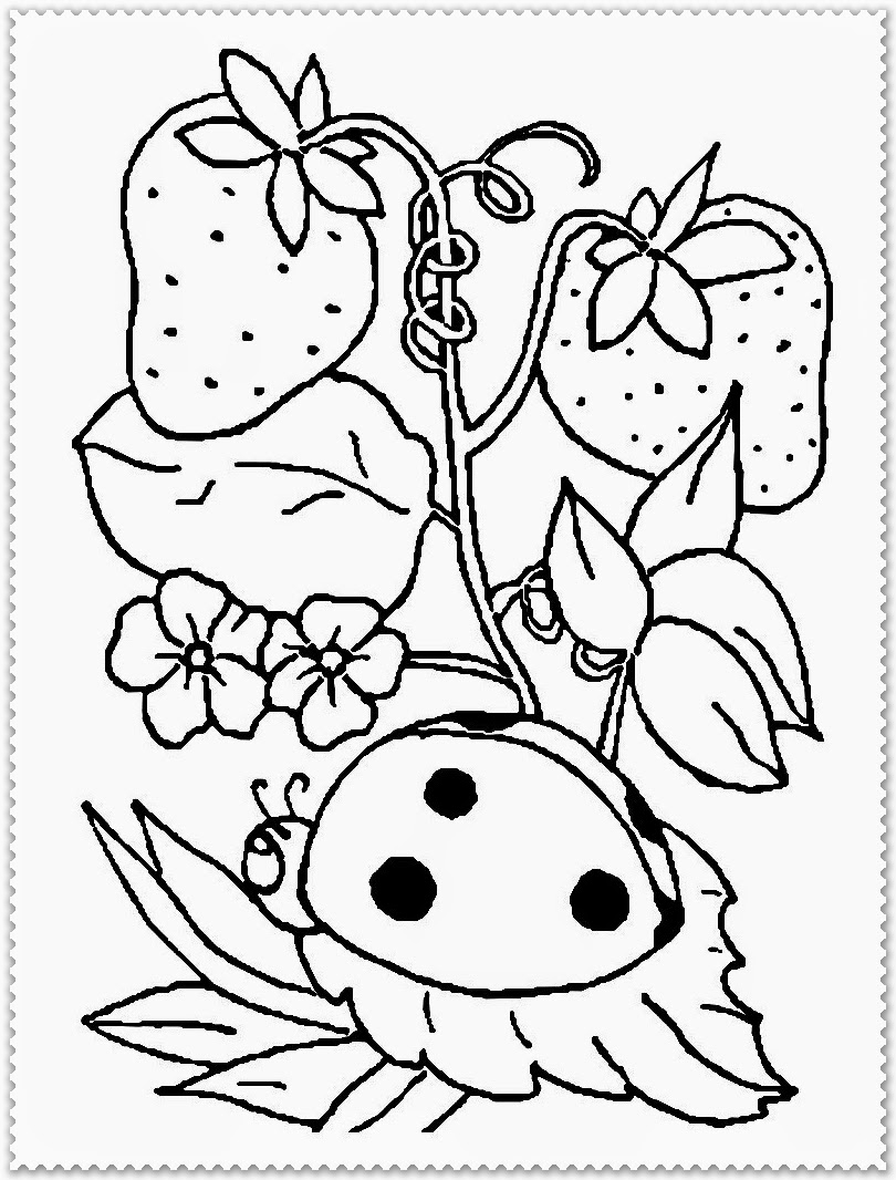 Springtime Coloring Pages Printable At GetDrawings Free Download