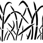 Stencil Designs Free Stencil Templates For Home Decor