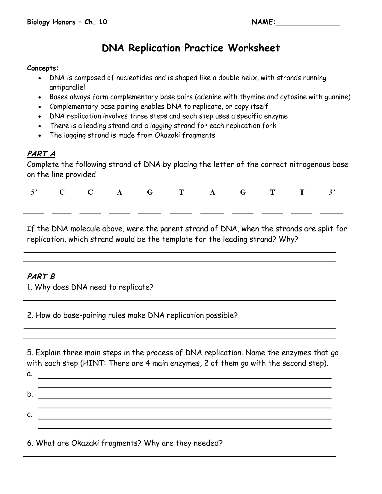worksheet dna structure and replication