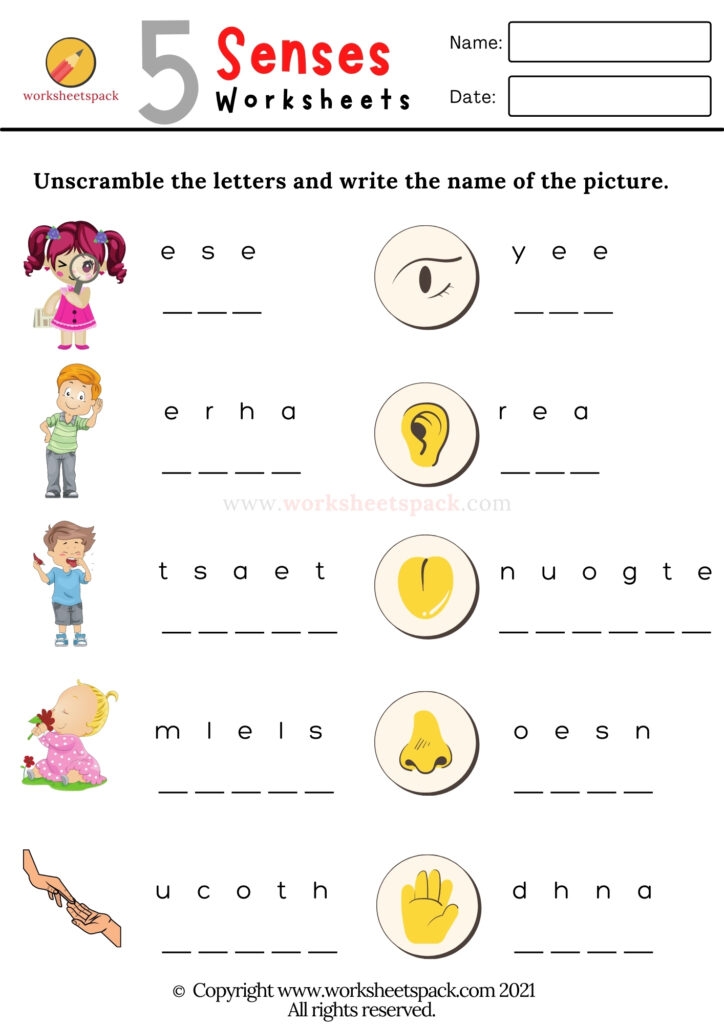 The 5 Senses Worksheets Worksheetspack