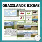 The Grassland Animals Plants Facts Biome Pack Montessori Nature