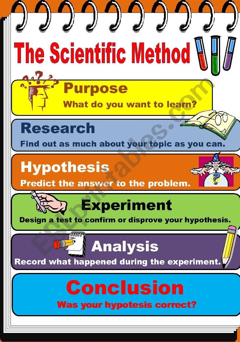 The Scientific Method ESL Worksheet By Teacherjorgesanchez 