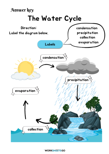 The Water Cycle Worksheets WorksheetsGO