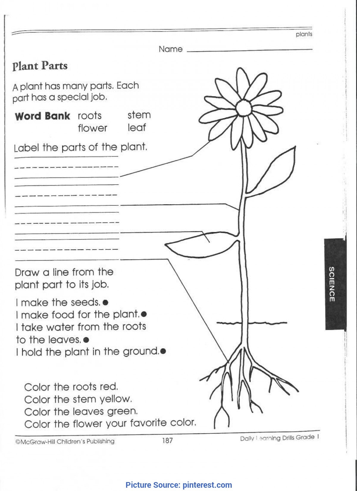 Third Grade Science Worksheets Db excel