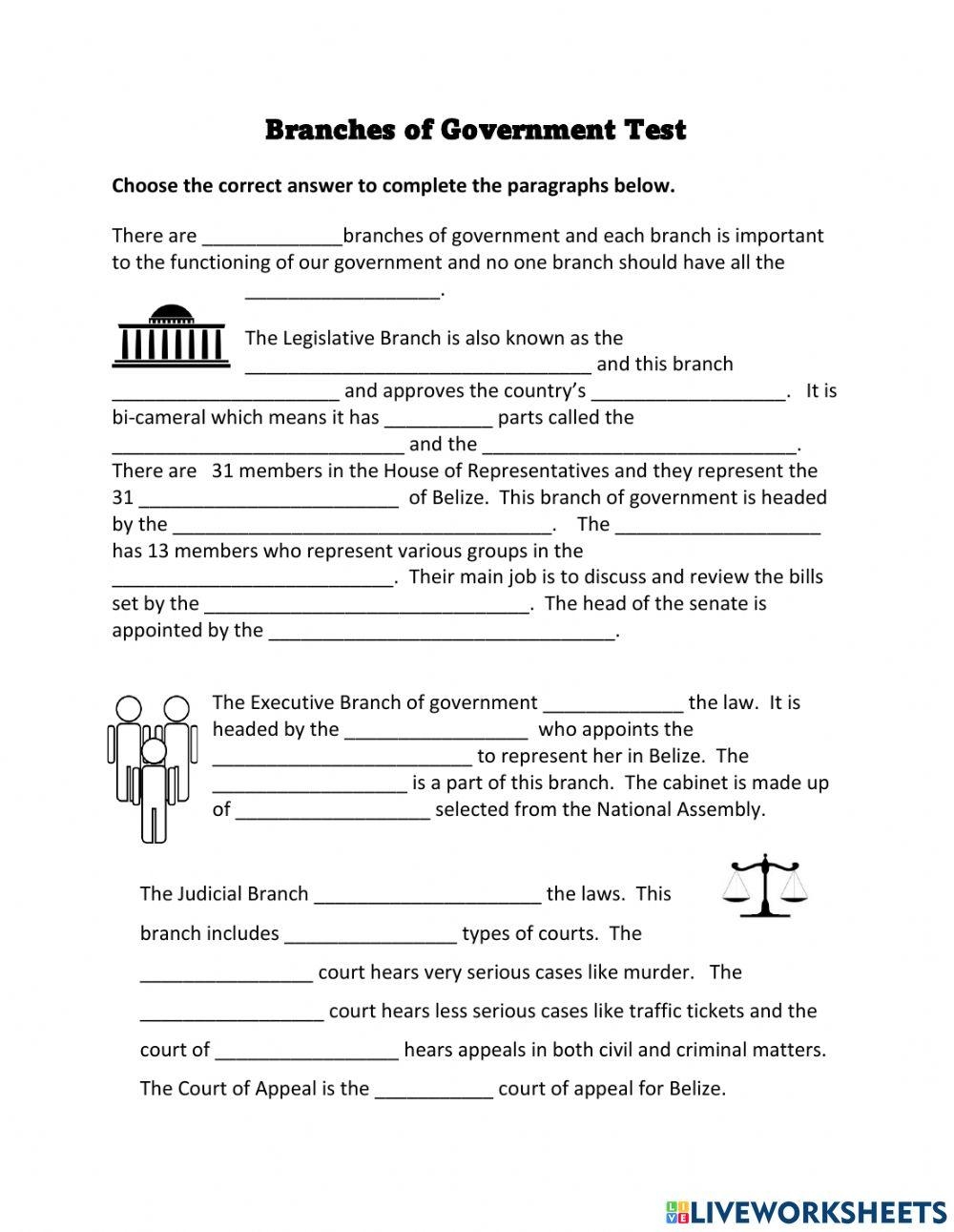 three branches of government worksheet