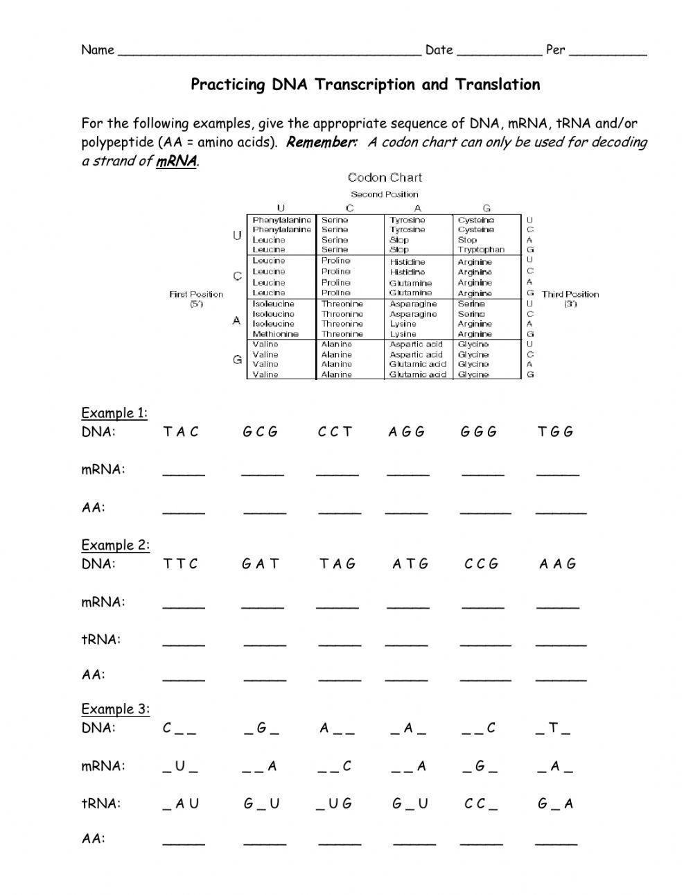 Transcription And Translation Worksheet Live Worksheets Worksheets 