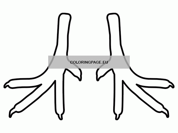 free printable coloring page turkey