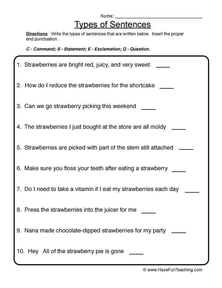 Types Of Sentences Worksheet Artofit