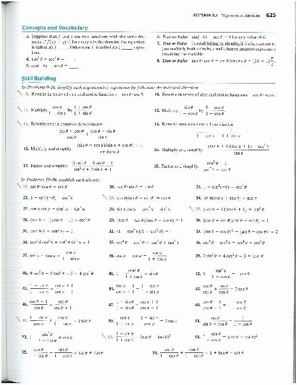 Verifying Trig Identities Worksheet Basic Math Skills Chemistry