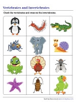 Vertebrates And Invertebrates Worksheets